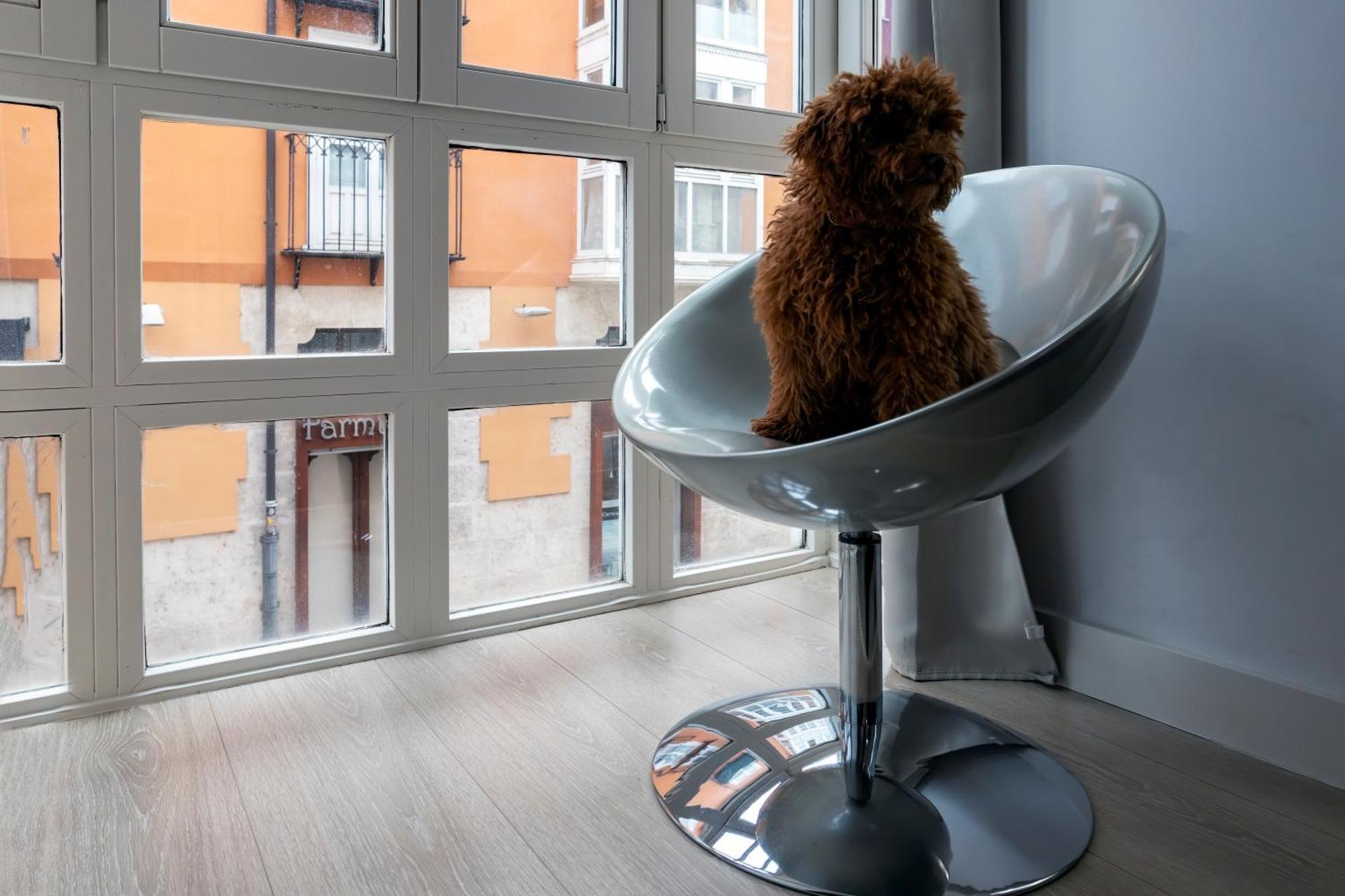 Spacio Menina By Unique Appartement Burgo